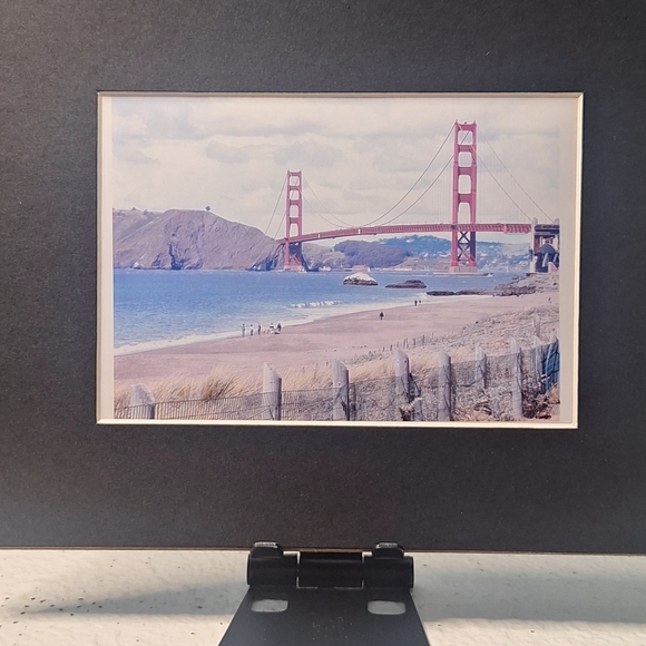 Meet your Posher, Ida - Picture 13 of 16